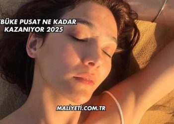 Aybüke Pusat Ne Kadar Kazanıyor 2025