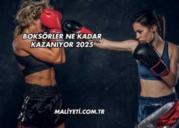 Boksörler Ne Kadar Kazanıyor 2025