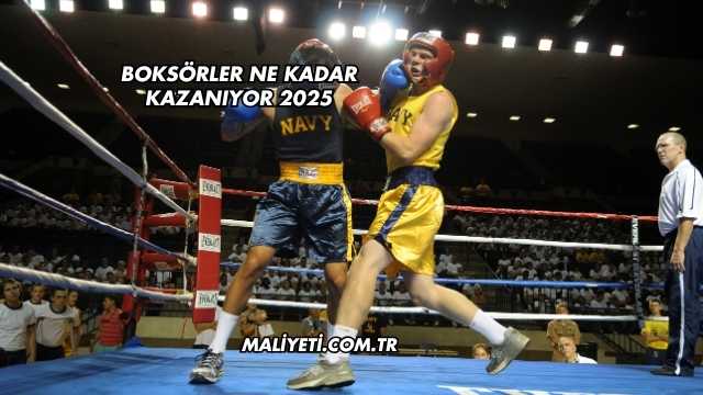 Boksörler Ne Kadar Kazanıyor 2025