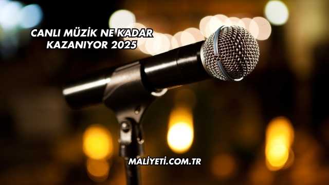 Canlı Müzik Ne Kadar Kazanıyor 2025