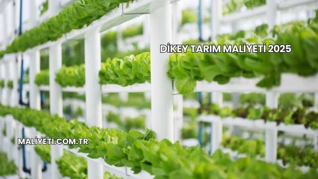 Dikey Tarım Maliyeti 2025