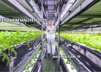 Dikey Tarım Maliyeti 2025