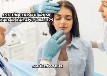 Estetik Cerrahları Ne Kadar Kazanıyor 2025