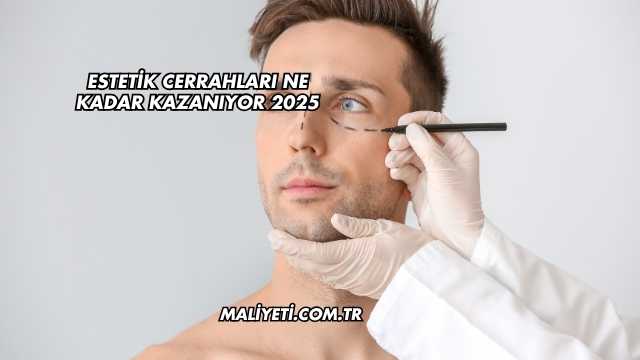 Estetik Cerrahları Ne Kadar Kazanıyor 2025