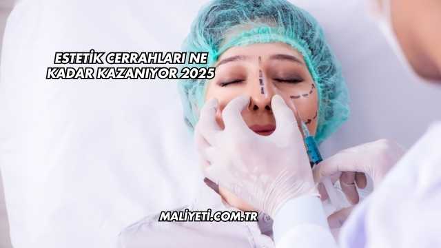 Estetik Cerrahları Ne Kadar Kazanıyor 2025