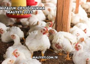 Etlik Tavuk Çiftliği Kurma Maliyeti 2025
