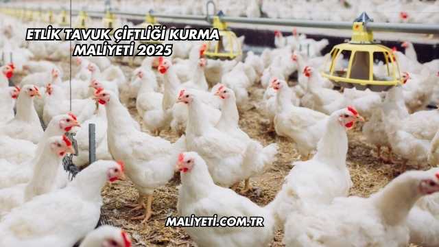 Etlik Tavuk Çiftliği Kurma Maliyeti 2025