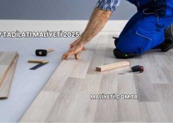 Ev Tadilatı Maliyeti 2025