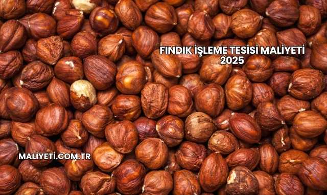 Fındık İşleme Tesisi Maliyeti 2025