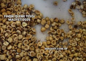 Fındık İşleme Tesisi Maliyeti 2025