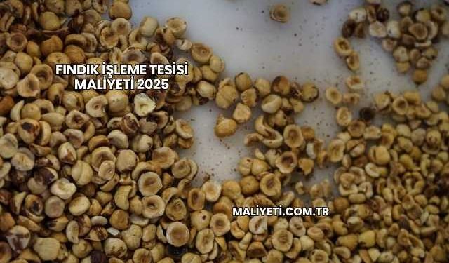 Fındık İşleme Tesisi Maliyeti 2025