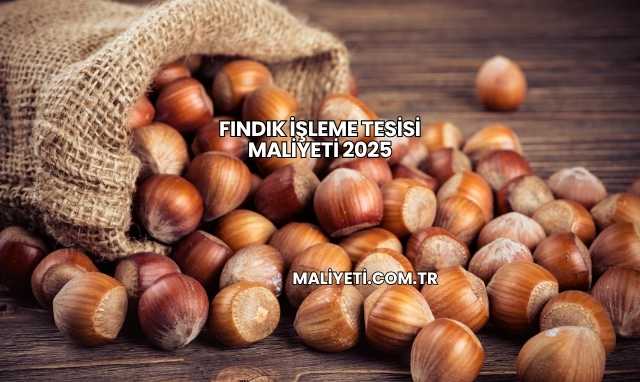 Fındık İşleme Tesisi Maliyeti 2025