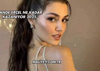 Hande Erçel Ne Kadar Kazanıyor 2025