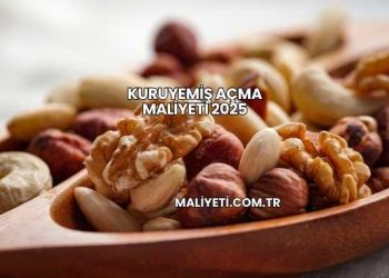 Kuruyemiş Açma Maliyeti 2025