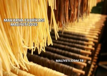 Makarna Fabrikası Maliyeti 2025
