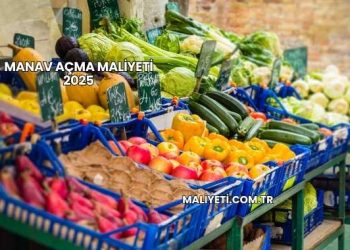 Manav Açma Maliyeti 2025