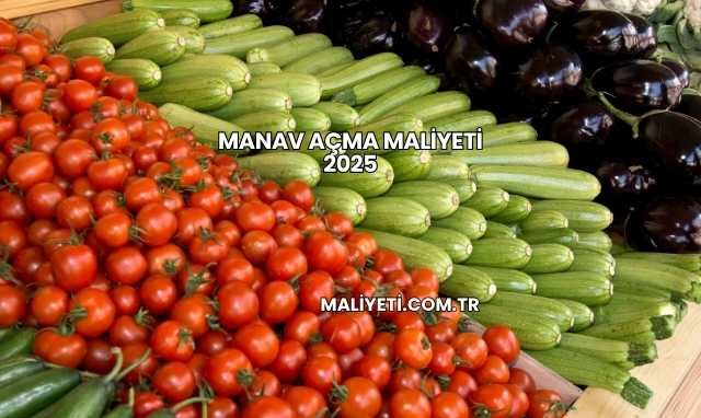Manav Açma Maliyeti 2025