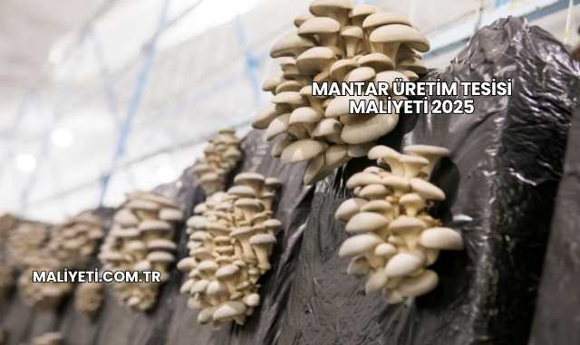 Mantar Üretim Tesisi Maliyeti 2025