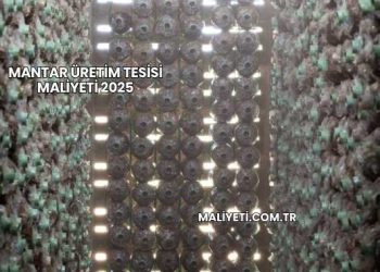 Mantar Üretim Tesisi Maliyeti 2025