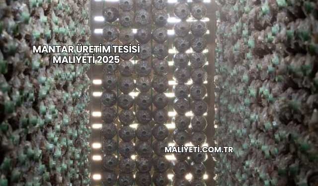 Mantar Üretim Tesisi Maliyeti 2025