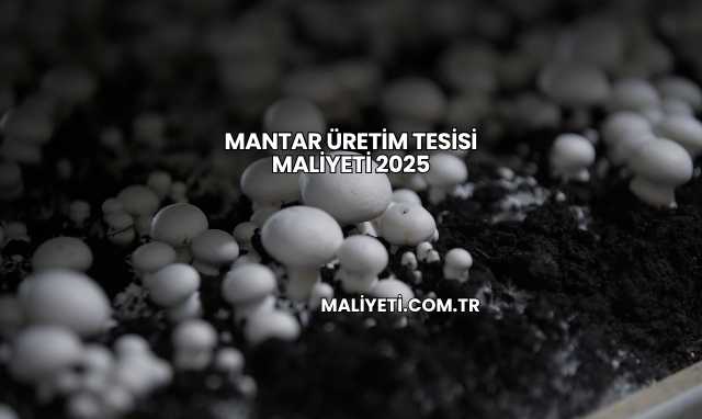Mantar Üretim Tesisi Maliyeti 2025