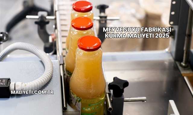 Meyve Suyu Fabrikası Kurma Maliyeti 2025