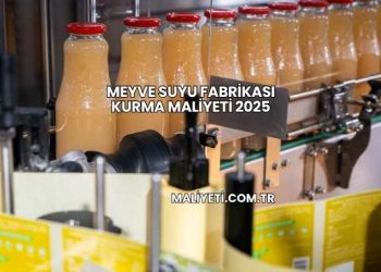 Meyve Suyu Fabrikası Kurma Maliyeti 2025