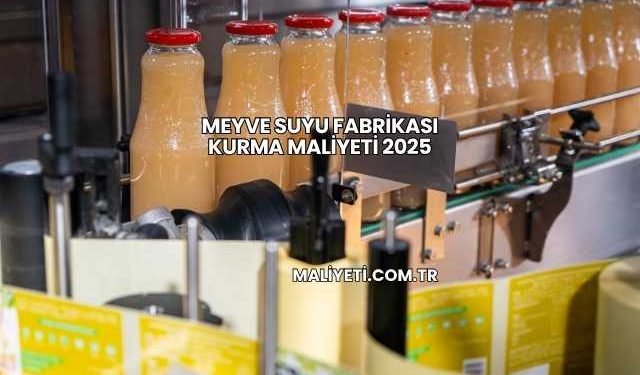 Meyve Suyu Fabrikası Kurma Maliyeti 2025