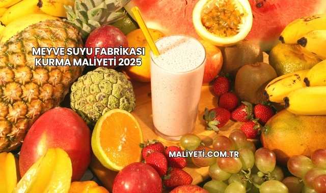 Meyve Suyu Fabrikası Kurma Maliyeti 2025