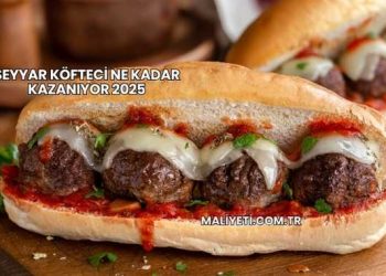 Seyyar Köfteci Ne Kadar Kazanıyor 2025
