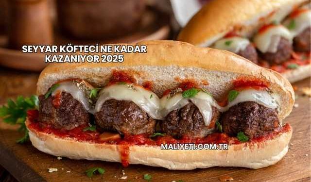Seyyar Köfteci Ne Kadar Kazanıyor 2025