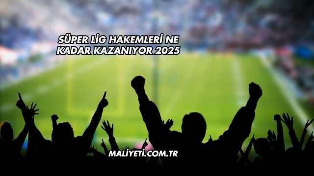 Süper Lig Hakemleri Ne Kadar Kazanıyor 2025