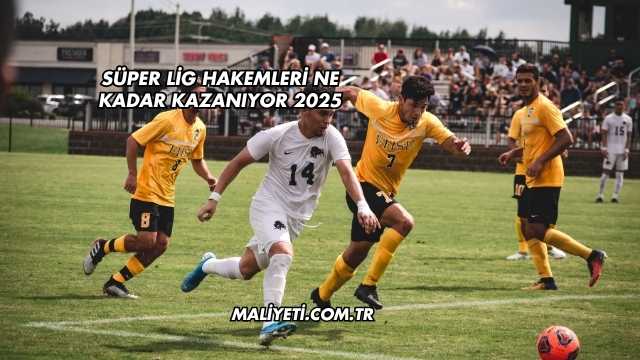 Süper Lig Hakemleri Ne Kadar Kazanıyor 2025