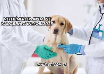 Veterinerler Ayda Ne Kadar Kazanıyor 2025