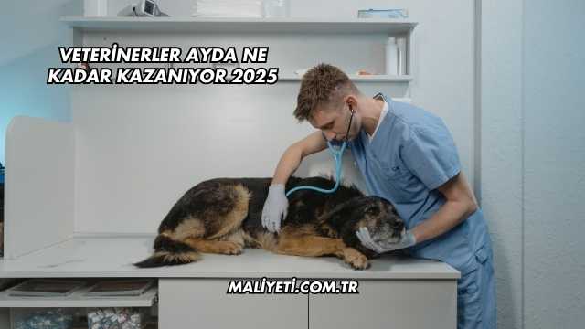 Veterinerler Ayda Ne Kadar Kazanıyor 2025