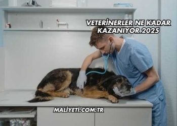Veterinerler Ne Kadar Kazanıyor 2025