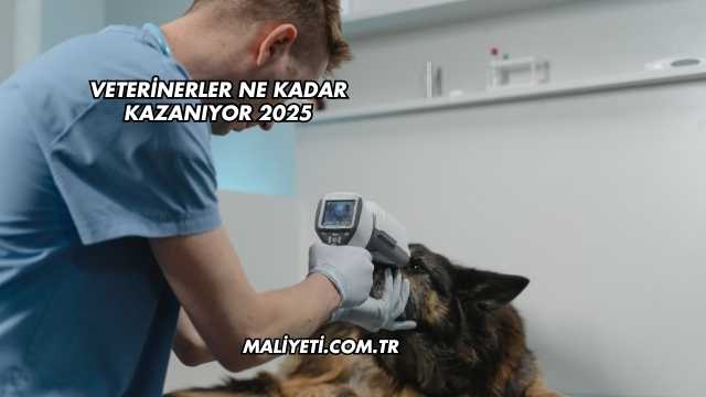 Veterinerler Ne Kadar Kazanıyor 2025