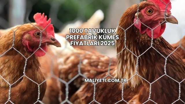 1000 Tavukluk Prefabrik Kümes Fiyatları 2025