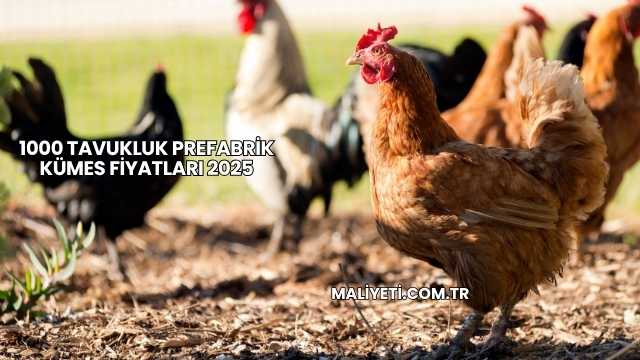 1000 Tavukluk Prefabrik Kümes Fiyatları 2025