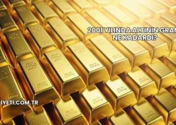 2001 Yılında Altının Gramı Ne Kadardı?