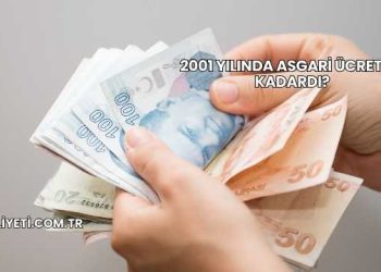 2001 Yılında Asgari Ücret Ne Kadardı?