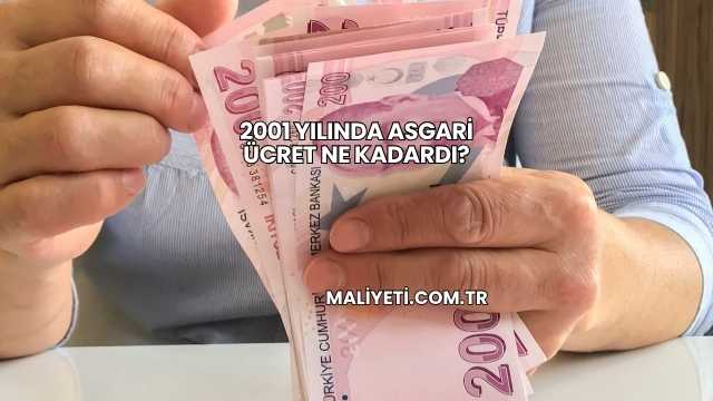2001 Yılında Asgari Ücret Ne Kadardı?