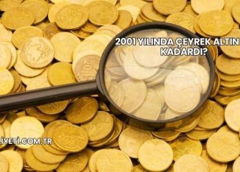 2001 Yılında Çeyrek Altın Ne Kadardı?