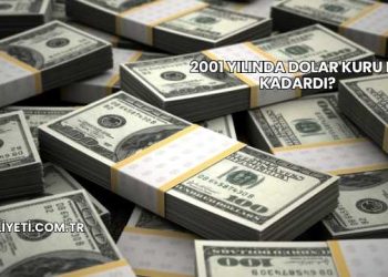 2001 Yılında Dolar Kuru Ne Kadardı?