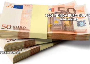 2001 Yılında Euro Kuru Ne Kadardı?