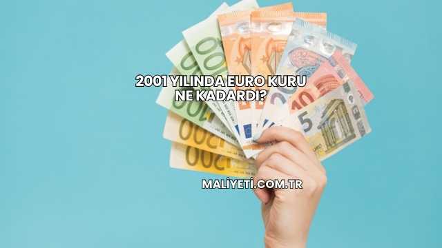 2001 Yılında Euro Kuru Ne Kadardı?