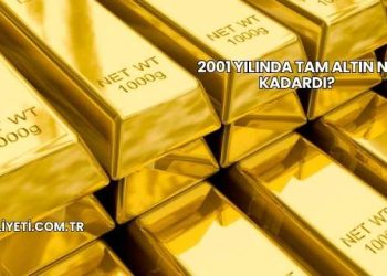 2001 Yılında Tam Altın Ne Kadardı?