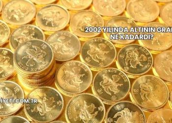 2002 Yılında Altının Gramı Ne Kadardı?