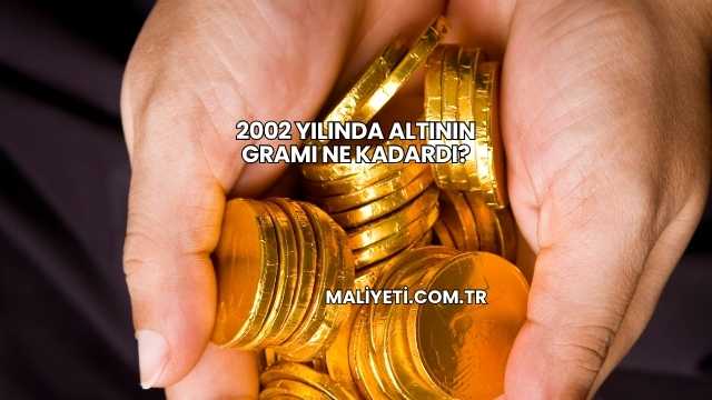 2002 Yılında Altının Gramı Ne Kadardı?