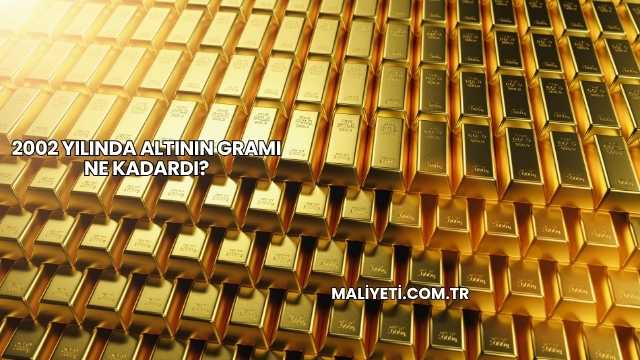 2002 Yılında Altının Gramı Ne Kadardı?